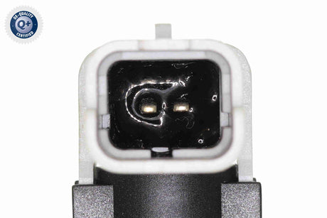 Hose, fuel overflow - V46-1209