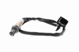 Oxygen Sensor - V25-76-0043