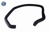 Radiator Hose - V25-2289