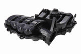 Intake Manifold Module - V10-8820