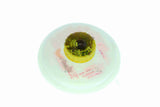 Fluid Reservoir, brake fluid - V10-1699