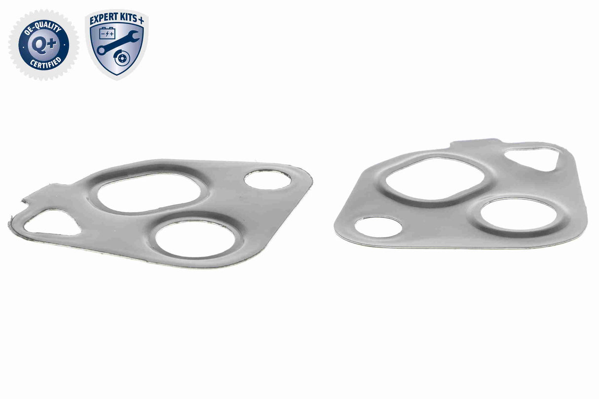 Valve, exhaust gas recirculation - V10-63-0005-1