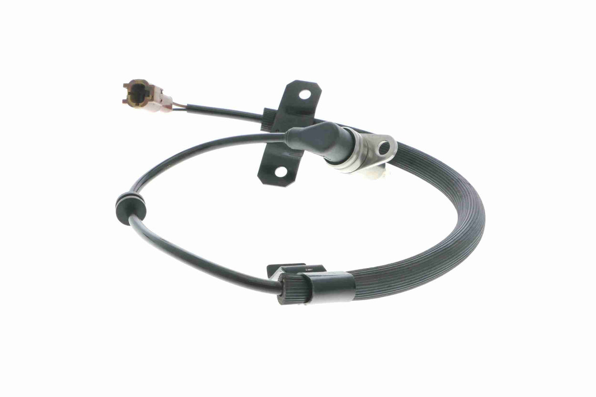 Sensor, wheel speed - V38-72-0113