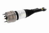 Air Suspension Strut - V30-50-0058