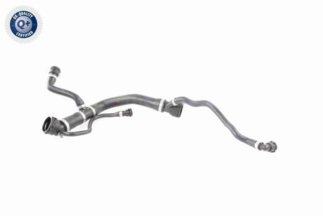 Radiator Hose - V20-0875