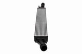 Charge Air Cooler - V10-60-0059
