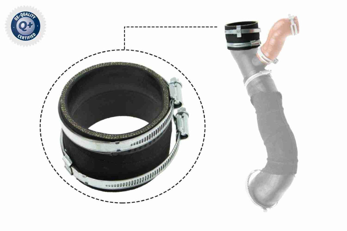 Charge Air Hose - V25-1031