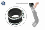 Charge Air Hose - V25-1031