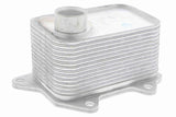 Oil Cooler, engine oil - V15-60-6068