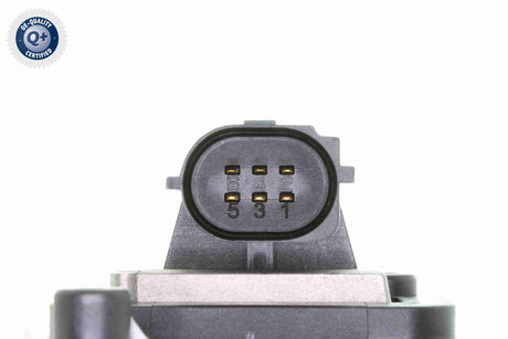 Throttle Body - V24-81-0007