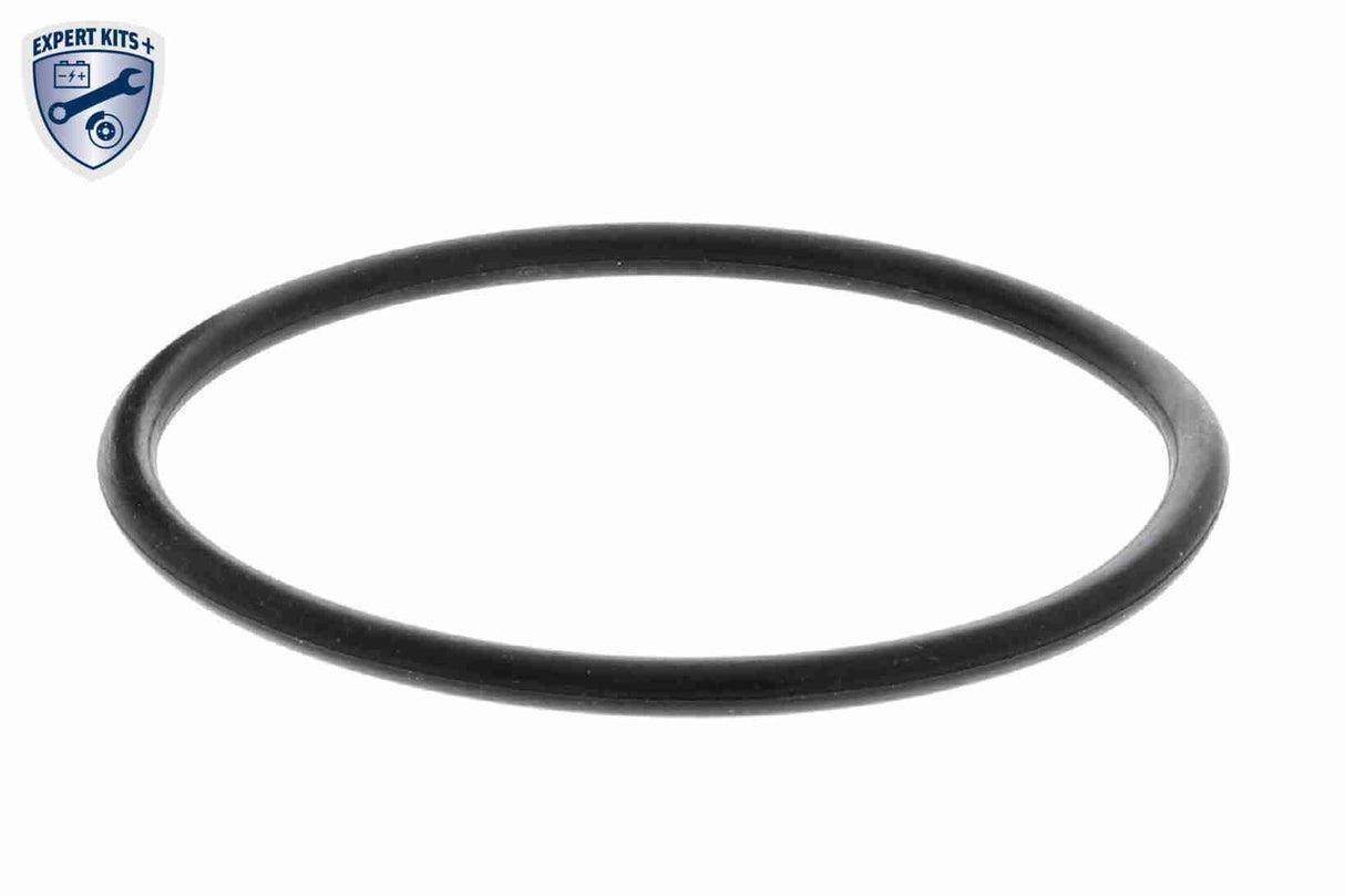 Thermostat, coolant - V30-99-0179