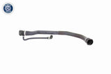 Radiator Hose - V20-1346