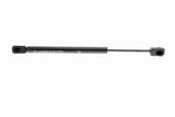 Gas Spring, boot/cargo area - V20-2873