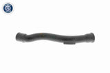 Hose, crankcase ventilation - V10-2938