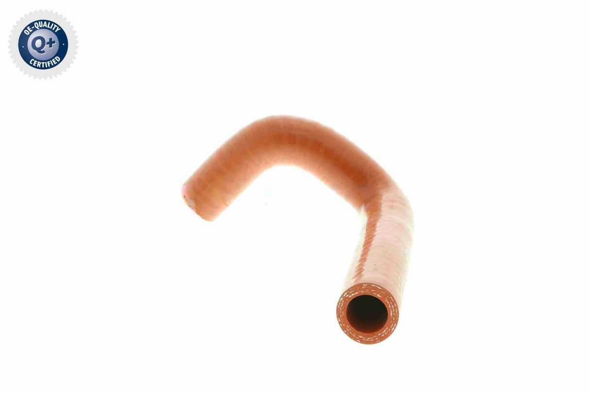 Charge Air Hose - V24-0736