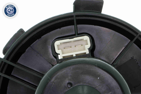 Interior Blower - V22-03-1824