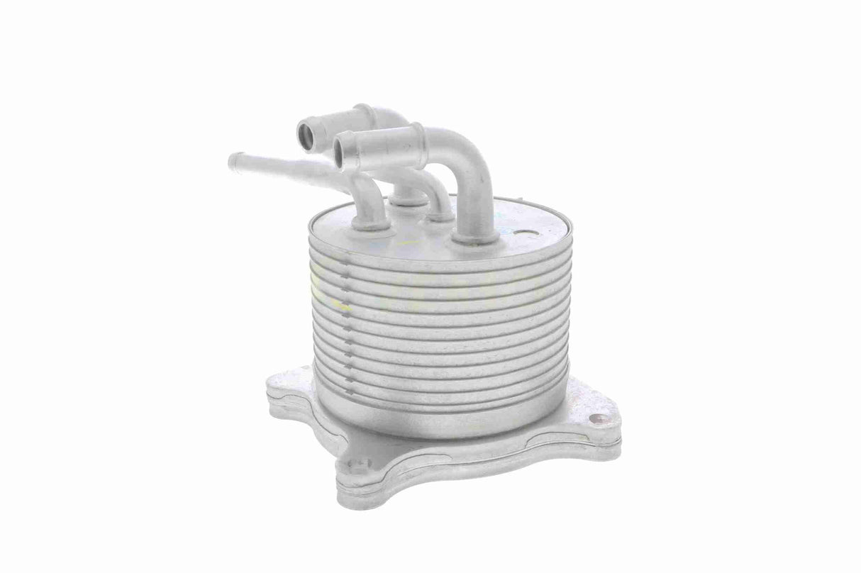 Oil Cooler, automatic transmission - V33-60-0012