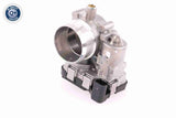 Throttle Body - V10-81-0098