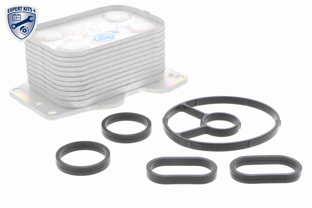 Oil Cooler, engine oil - V25-60-0025