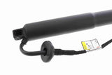Electric Motor, tailgate - V95-55-0001