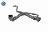 Radiator Hose - V10-4367