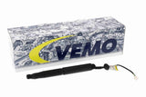 Electric Motor, tailgate - V58-55-0009