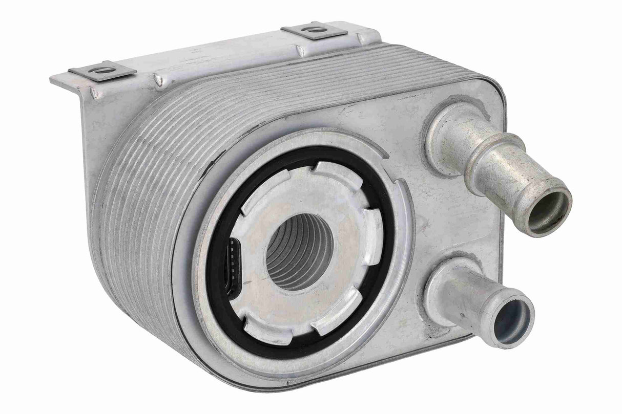Oil Cooler, engine oil - V33-60-0018