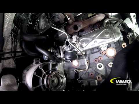 Gasket Set, EGR system - V10-63-9083