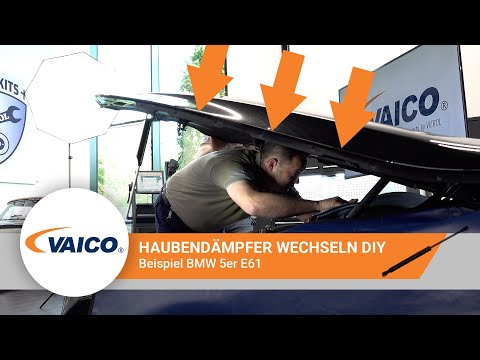 Gas Spring, boot/cargo area - V26-0444