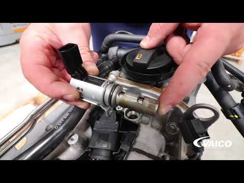 Control Valve, camshaft adjustment - V10-3731