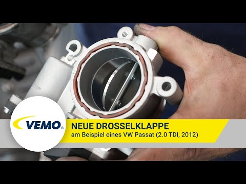 Throttle Body - V10-81-0084