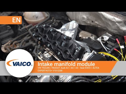 Intake Manifold Module - V10-5268
