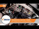Parts Kit, automatic transmission oil change - V10-3222-XXL