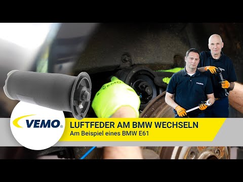 Air Suspension Strut - V20-50-0023