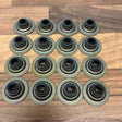 Landrover 1.8 Freelander 16V 18K16 Reinz Valve Stem Seals - 12-34836-01