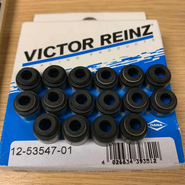 Honda S2000 & S2000 VTEC Reinz Valve Stems Seals 12-53547-01