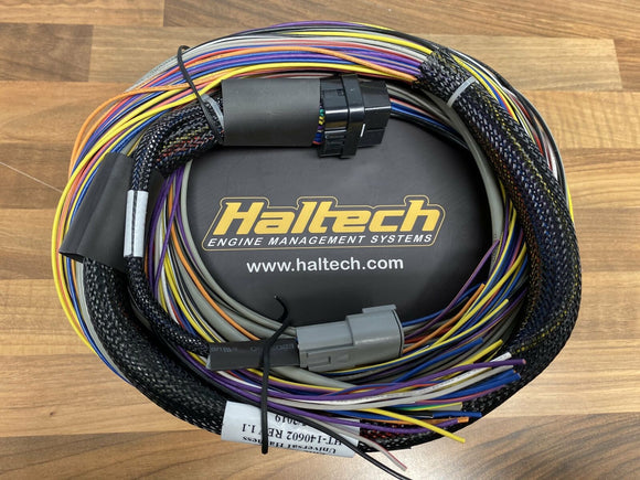 Haltech Elite 750 Basic Universal Wire in Loom ONLY