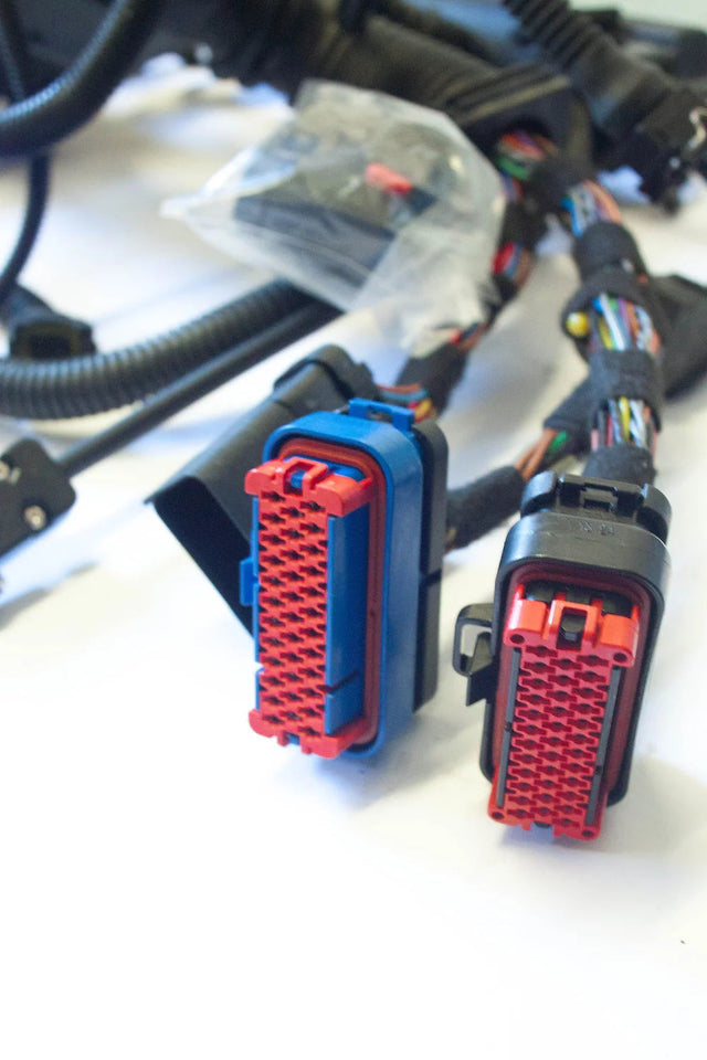 SCS Delta Ford 1.5 EcoBoost Engine Management Wiring Loom Kit