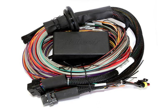 Haltech Elite 2500 + Premium Universal Wire in Loom Kit 2.5m