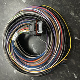 Link ECU G4 G4+ G4X 34 Way 2.5m MEDIUM Terminated B Loom