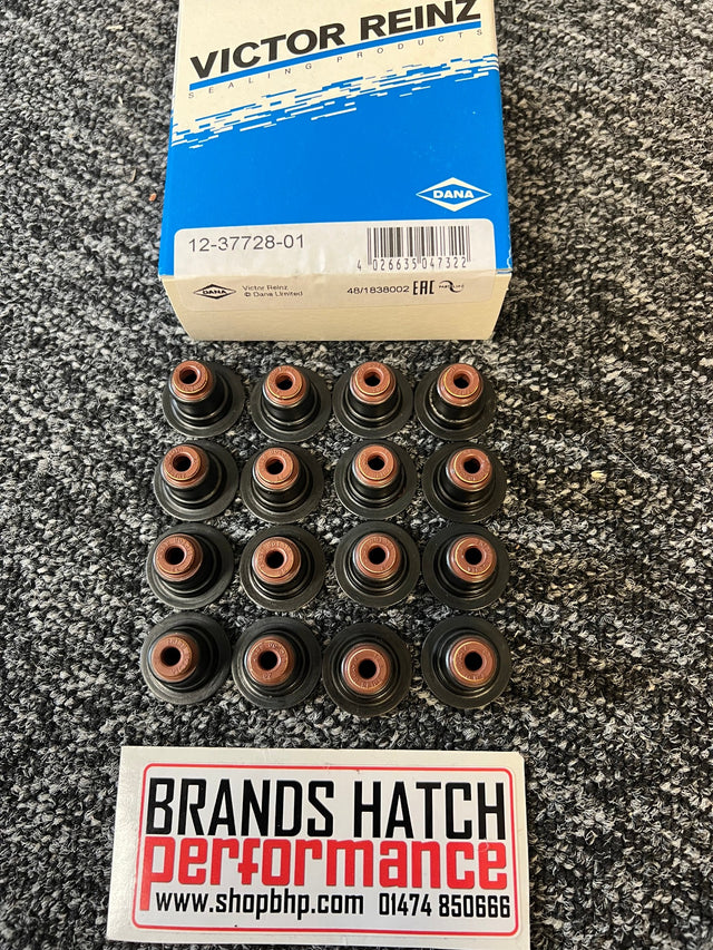 Ford Fiesta ST ST180 ST200 1.6 Ecoboost JT1A JT1B Reinz Valve Stem Seal Set