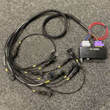 Ford ST170 ECUMASTER CLASSIC ECU with Wiring Loom Kit