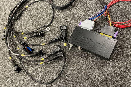 Ford ST170 ECUMASTER CLASSIC ECU with Wiring Loom Kit