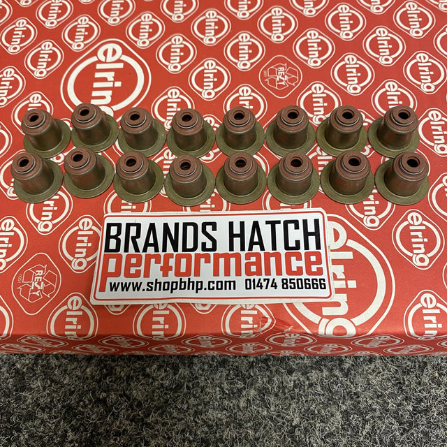 BMW 114d 116d 118d 120d 125d Diesel F20 F21 N47 B47 Elring Valve Stem Seal X16 539.420