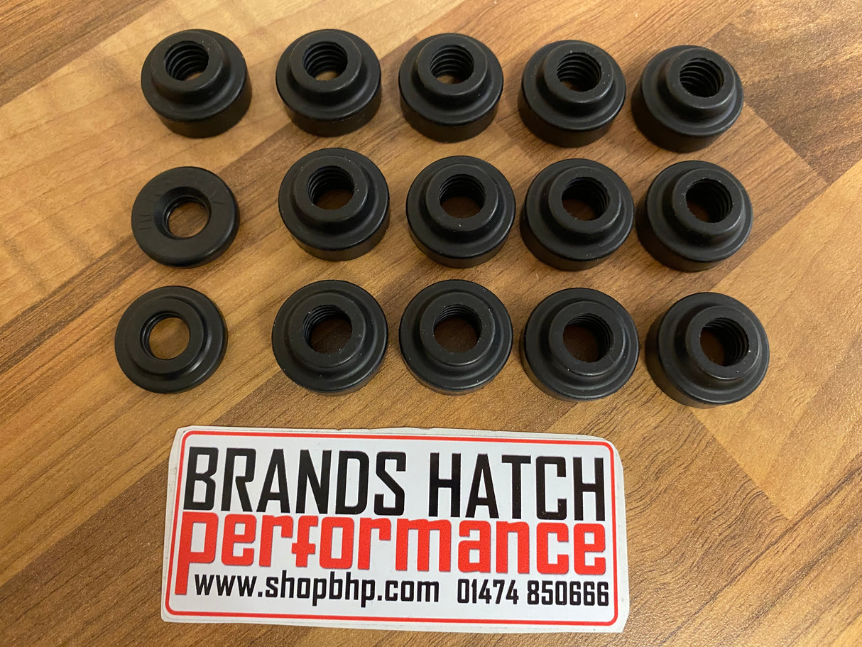 BMW 3.2 M3 E36 E46 E85 Z3 Z4 S50B32 S54B32 Reinz Head Bolt Cover Seal Set