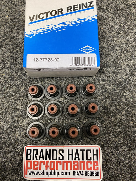 Ford 1.0 Ecoboost Fiesta Mk7 Focus M1DA M2DA SFJA Reinz Valve Stem Seal Set