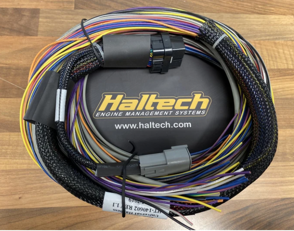 Haltech Elite 950 Basic Universal Wire in Loom