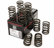 Vauxhall Astra / Cavalier 1.6/1.8 J Series Piper Cams Single Valve Springs