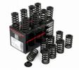 Peugeot 206 GTI Hydraulic Piper Cams Single Valve Springs VSS206A