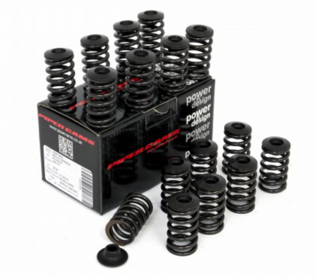 Peugeot 206 GTI Hydraulic Piper Cams Single Valve Springs VSS206A